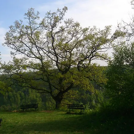 Berghaus Knopfmacher Hotel *